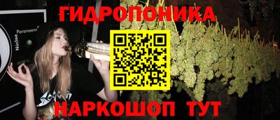 гашик Комсомольск-на-Амуре