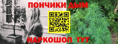 сатива Краснодар