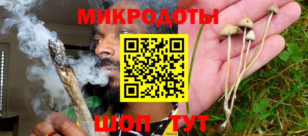 Галлюциногенные грибы мицелий Кировск