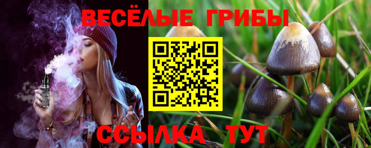 Кировск  Псилоцибиновые грибы прущие грибы  Вход с VPN 